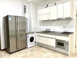 Ritz @ Farrer (D8), Apartment #453112761